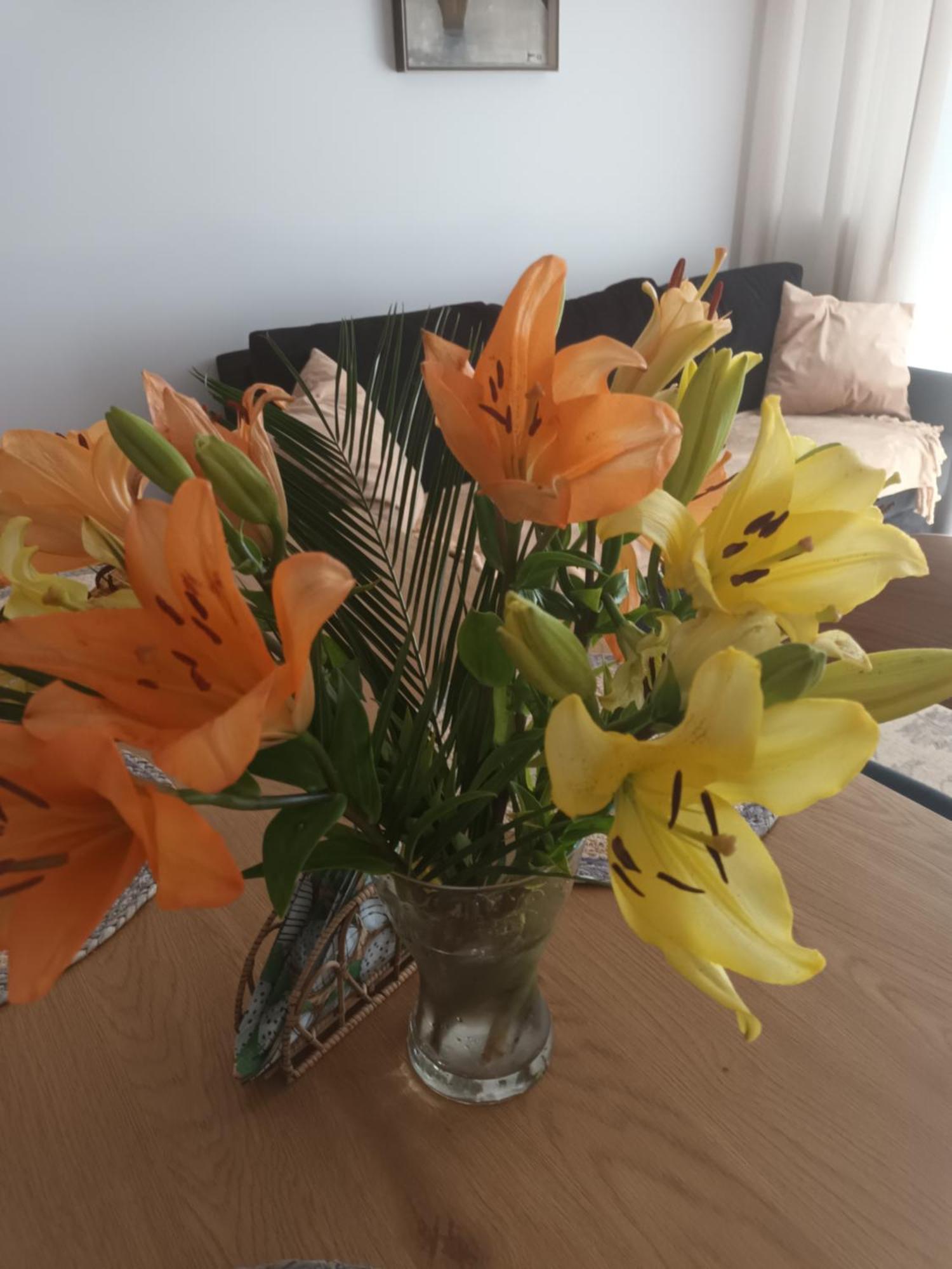 Apartament Lilla 2 Jelenia Góra Buitenkant foto